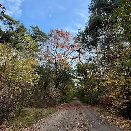 De Elina - Comfortable For A Relaxing Chalé *