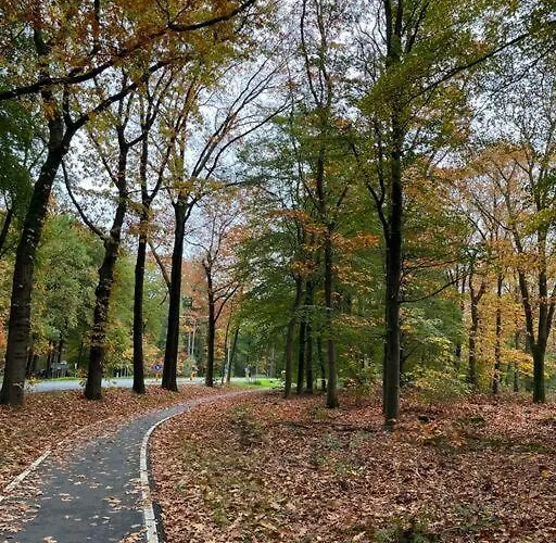 Domek alpejski De Elina - Comfortable For A Relaxing