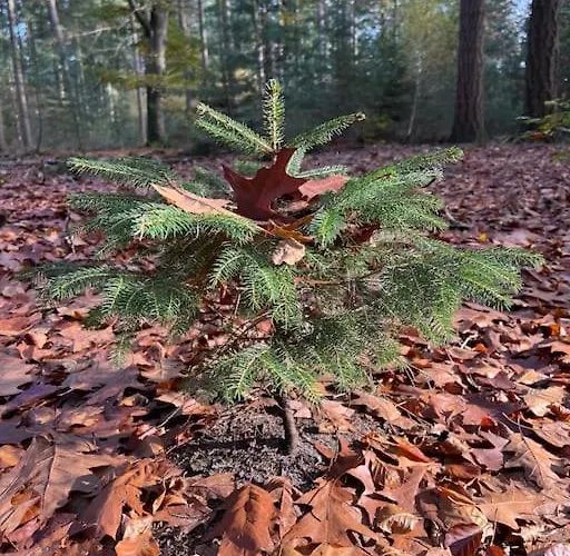 De Elina - Comfortable For A Relaxing Horská chata