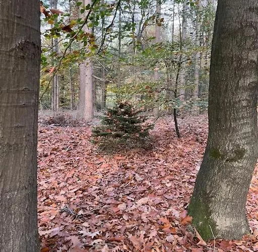 Horská chata De Elina - Comfortable For A Relaxing *