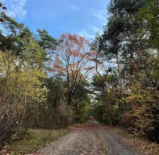 De Elina - Comfortable For A Relaxing Horská chata *