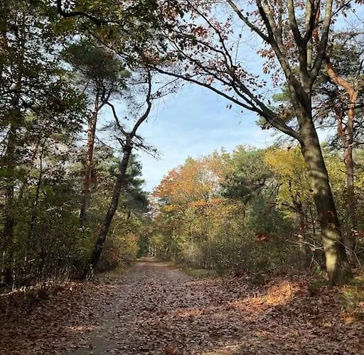 De Elina - Comfortable For A Relaxing * Voorthuizen